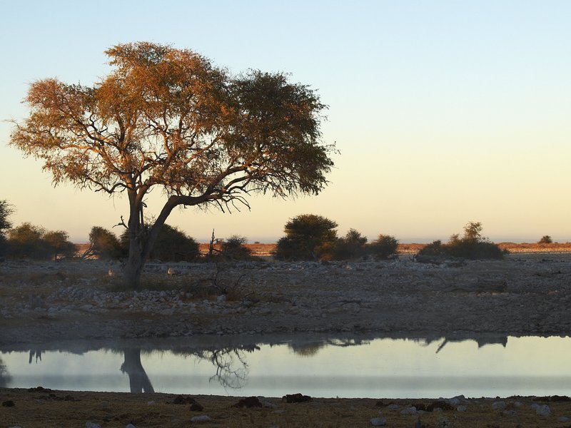 Etosha National Park, Okaukuejo